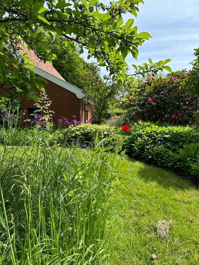 Haystackcottage Paterswolde 外观 照片
