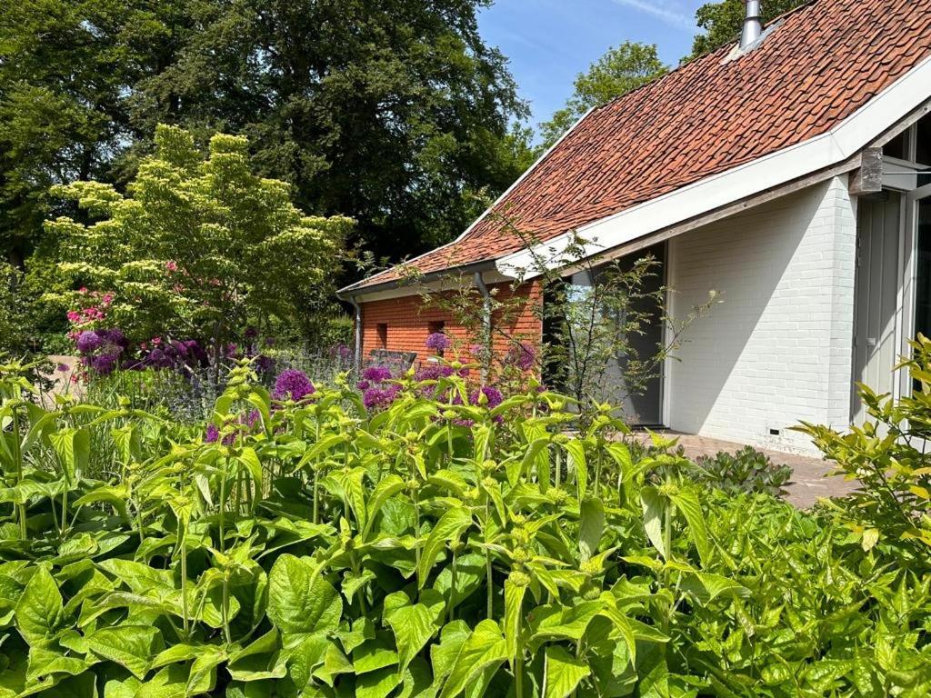 Haystackcottage Paterswolde 外观 照片