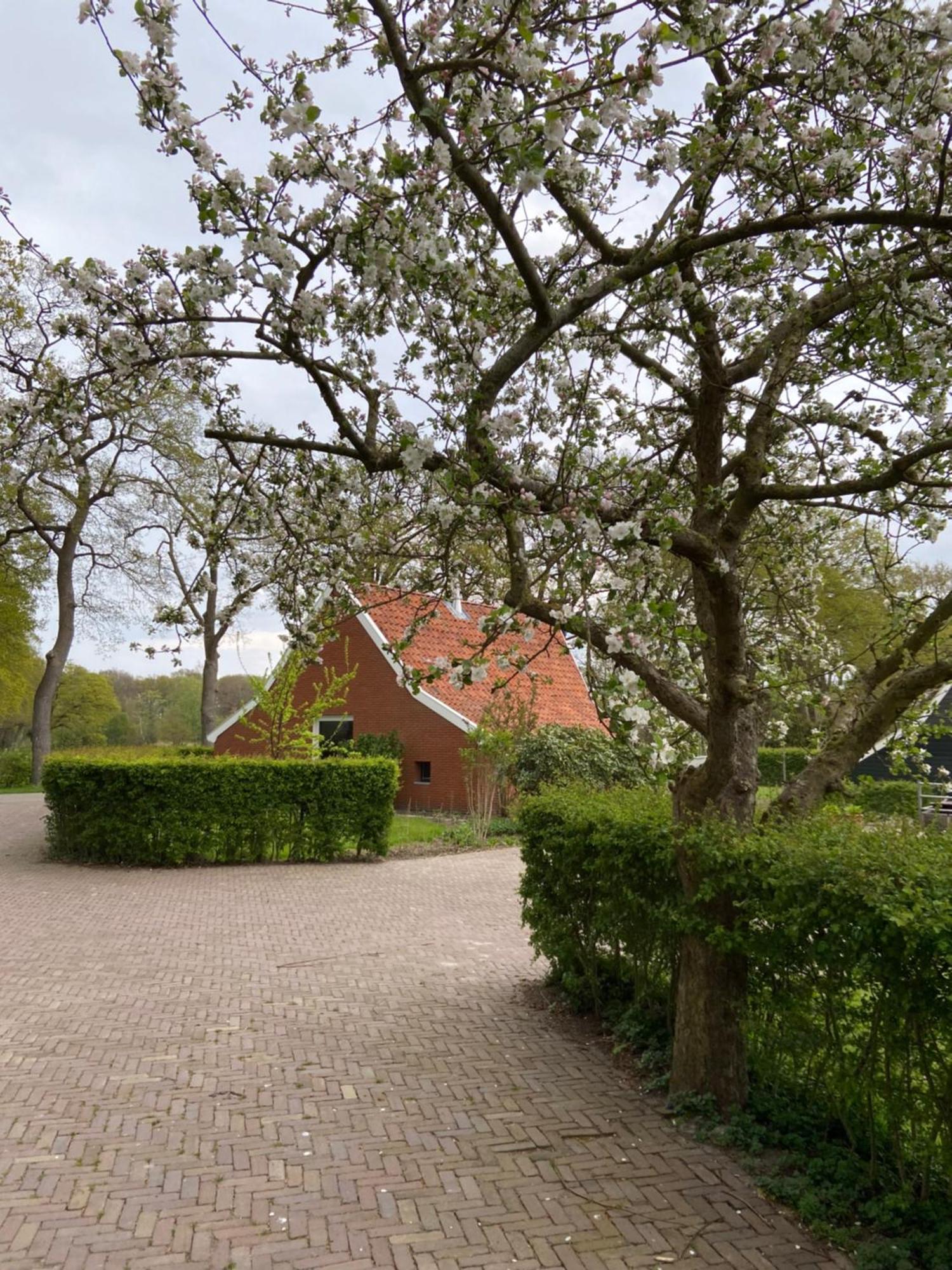 Haystackcottage Paterswolde 外观 照片