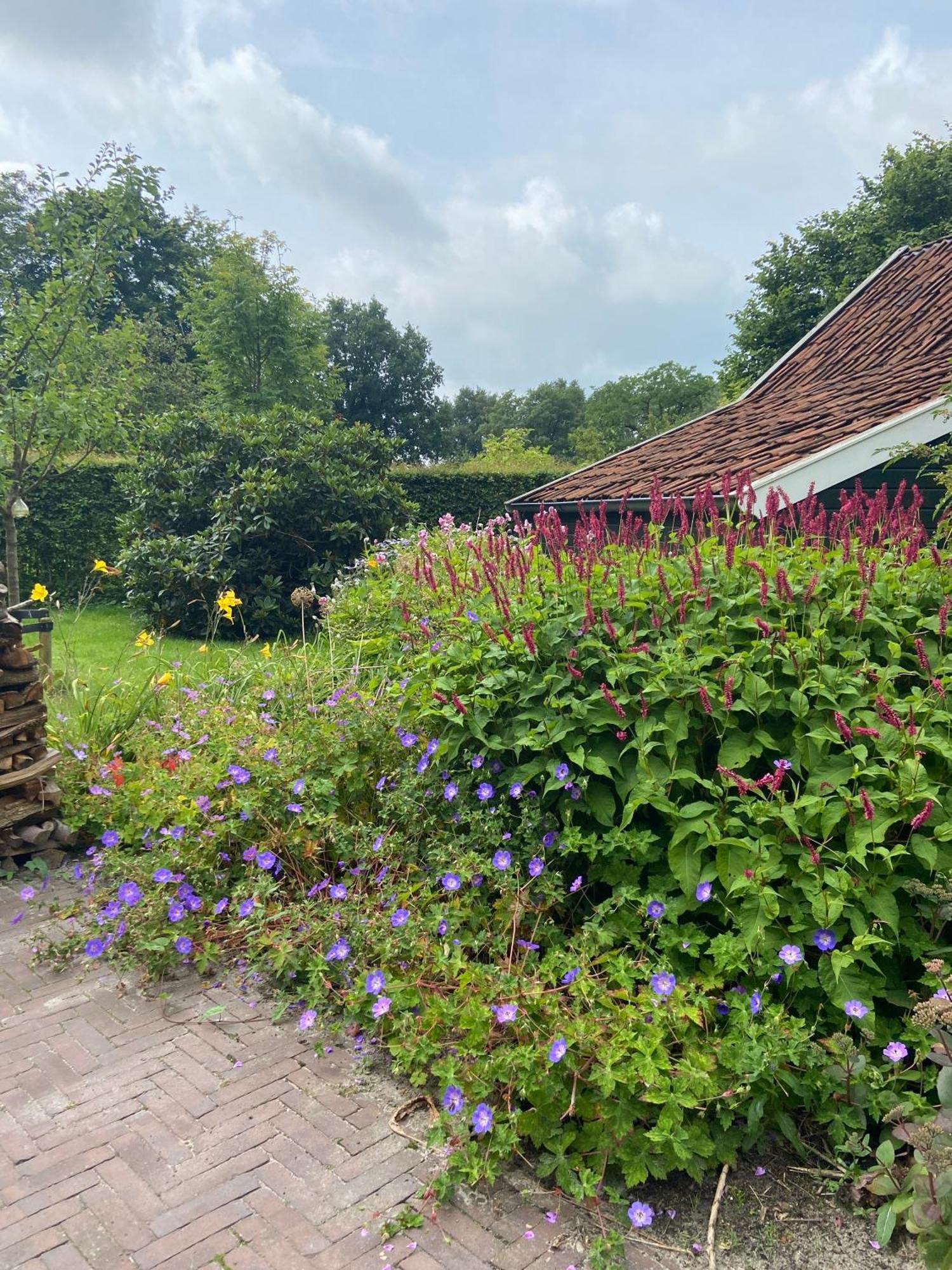 Haystackcottage Paterswolde 外观 照片