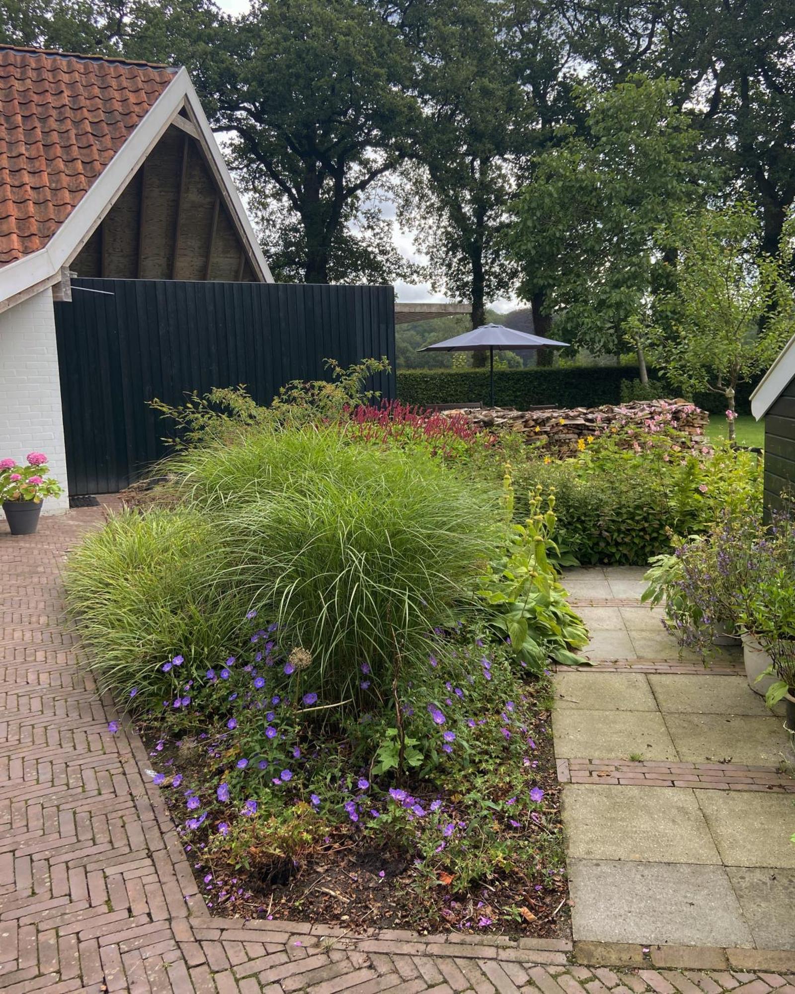 Haystackcottage Paterswolde 外观 照片